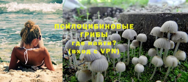 гидропоника Михайловск
