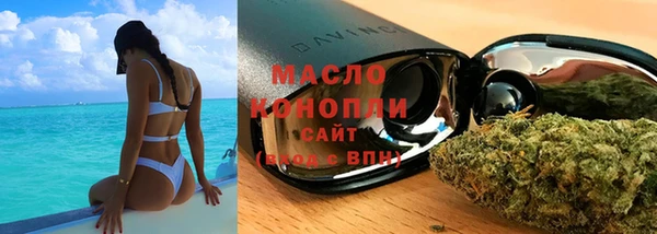 мдпв Михайлов