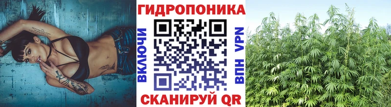 Конопля семена  Наволоки 